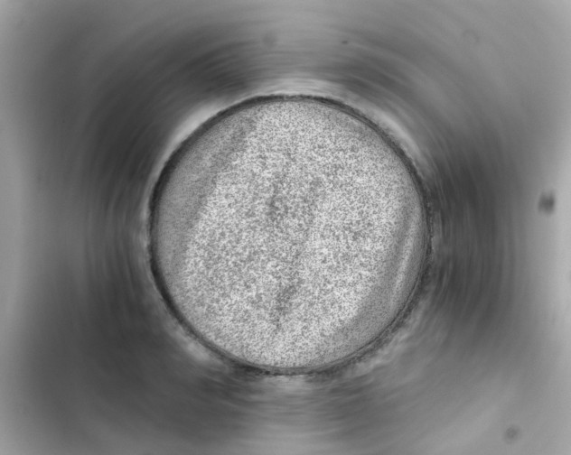 X0000103160990200809192049