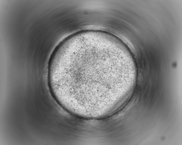 X0000103160992200809192049