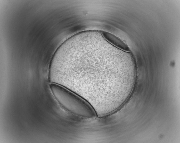 X0000103160993200809192049