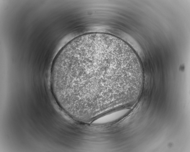 X0000103160994200809192049