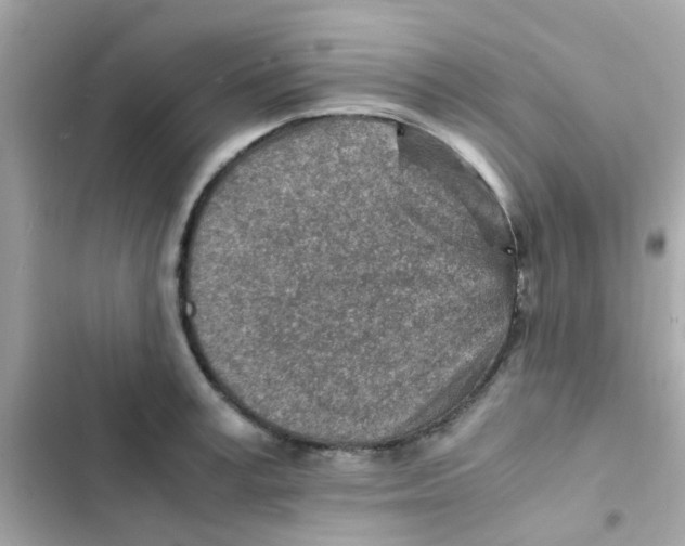 X0000103160995200809192049