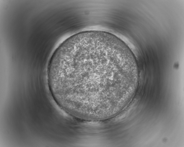 X0000103160998200809192049