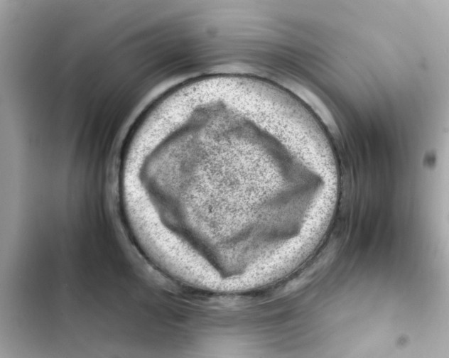 X0000103161000200809192049