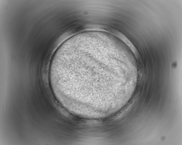 X0000103161002200809192049
