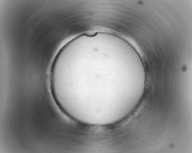 X0000103161003200809192049
