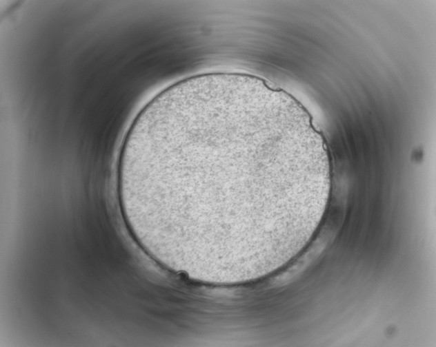 X0000103161004200809192049