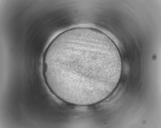 X0000103161006200809192049