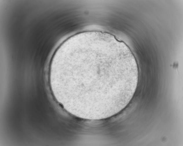 X0000103161008200809192049
