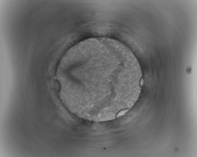 X0000103161009200809192048