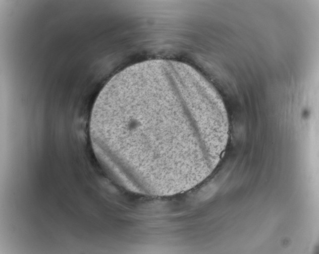 X0000103161010200809192048