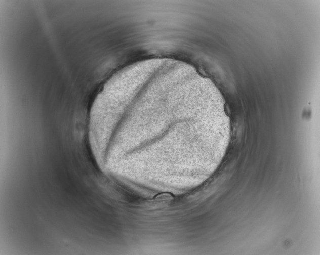 X0000103161012200809192048