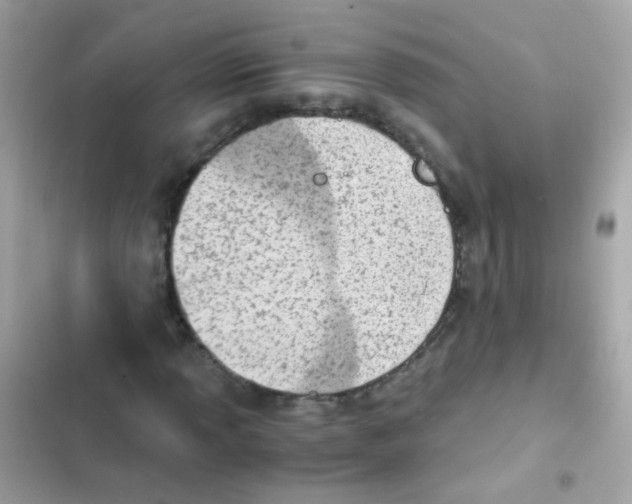 X0000103161013200809192048