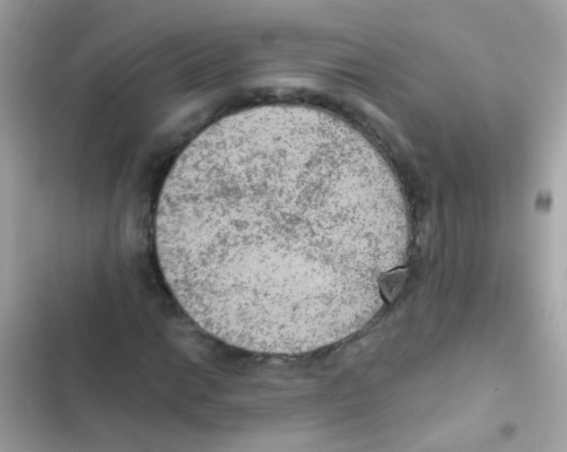 X0000103161014200809192048