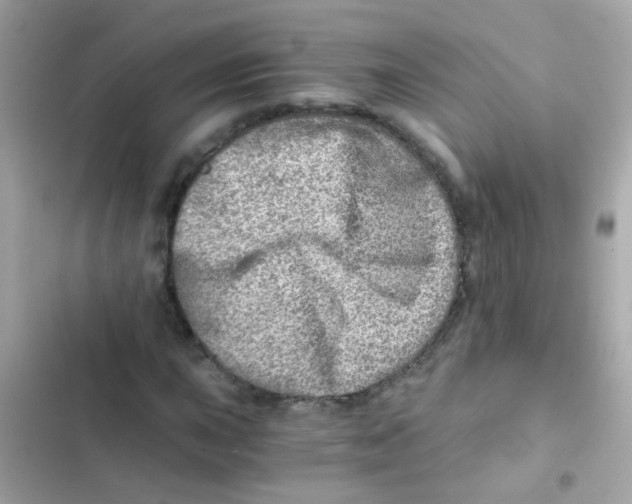 X0000103161015200809192048