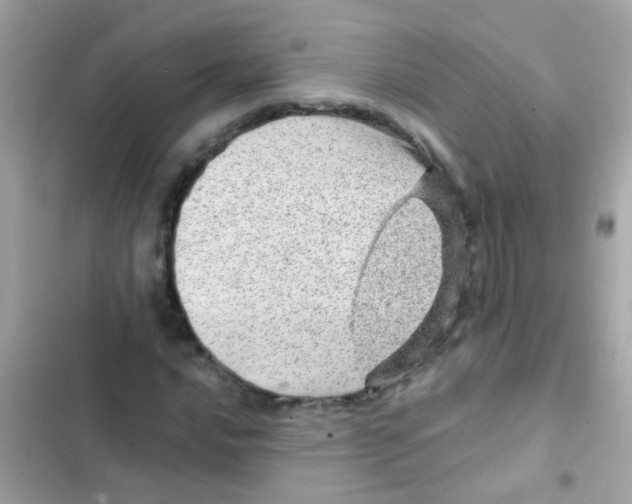 X0000103161016200809192048