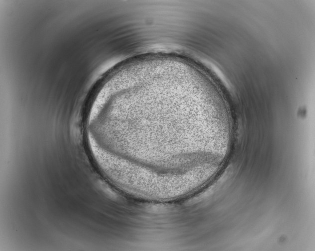 X0000103161018200809192048