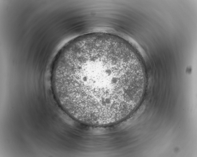 X0000103161019200809192048