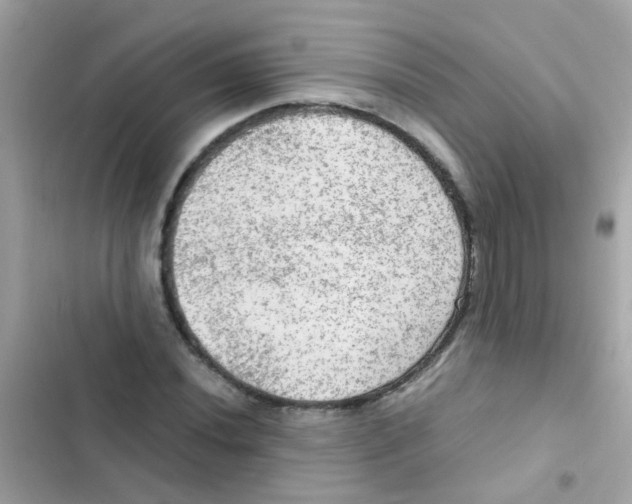 X0000103161020200809192048