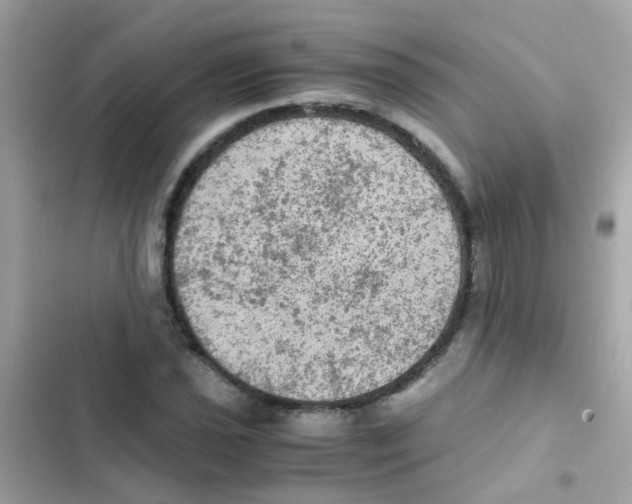 X0000103161021200809192048