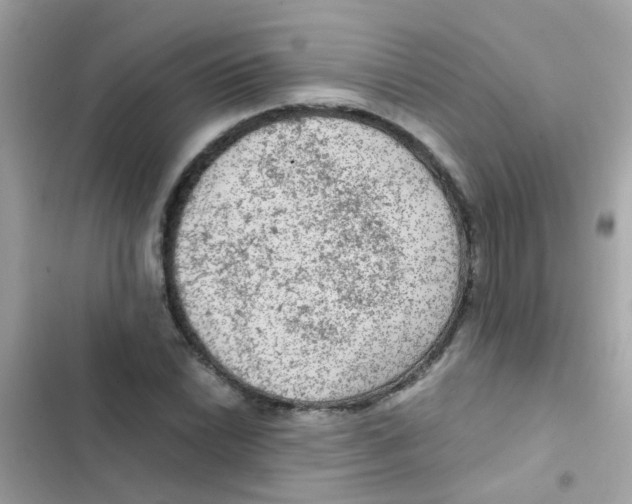 X0000103161022200809192048