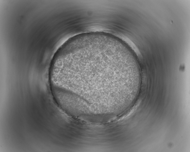 X0000103161023200809192048