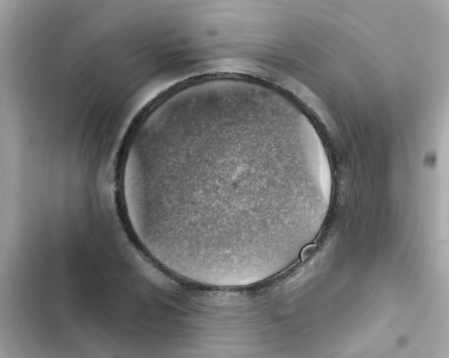 X0000103161024200809192048