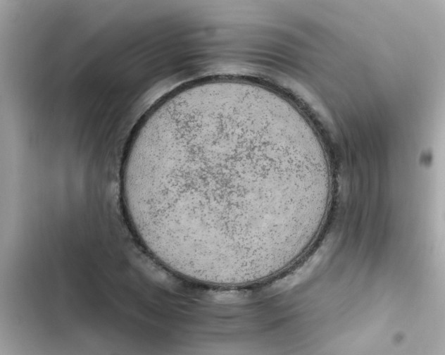 X0000103161025200809192048