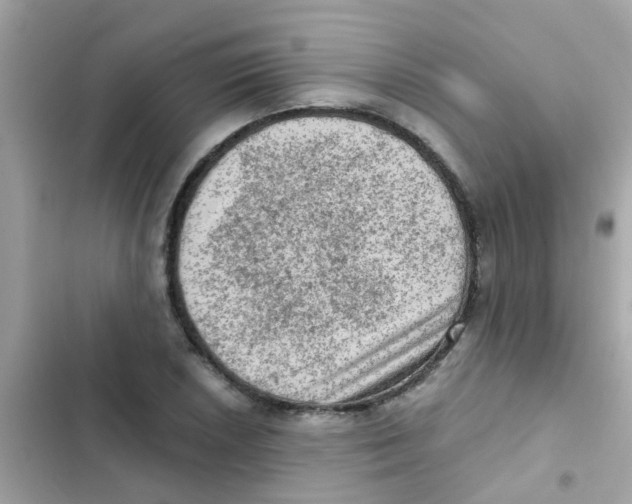 X0000103161026200809192048