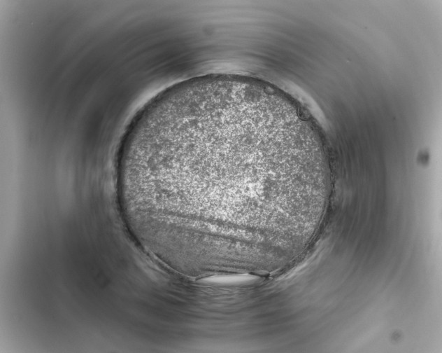 X0000103161027200809192048