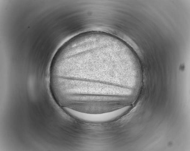X0000103161028200809192048