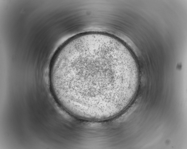 X0000103161030200809192048