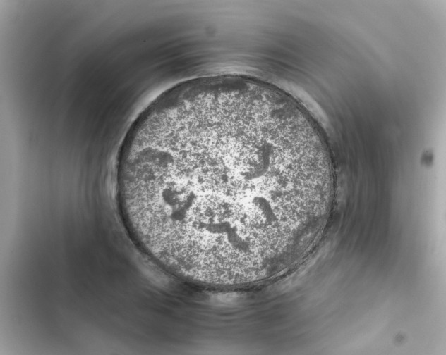 X0000103161031200809192048