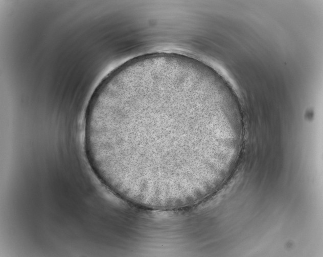 X0000103161032200809192048