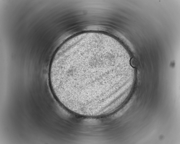 X0000103161033200809192048