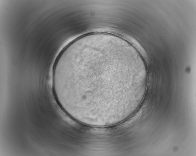 X0000103161036200809192048