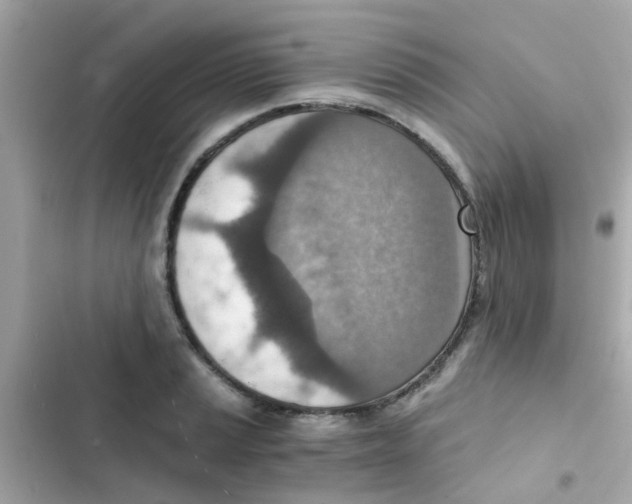 X0000103161037200809192048