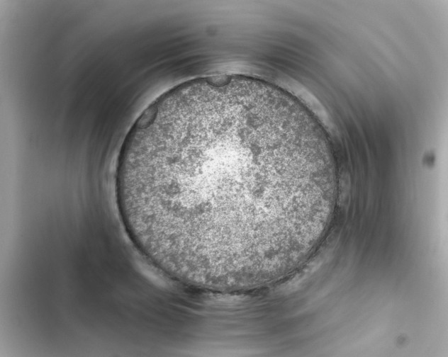 X0000103161039200809192048