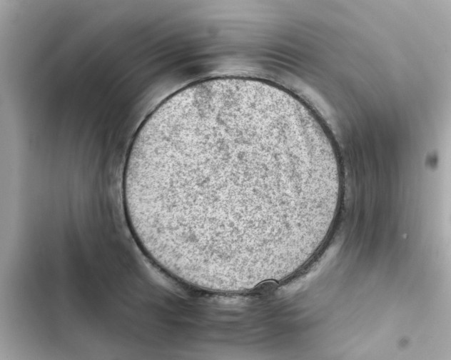 X0000103161041200809192048