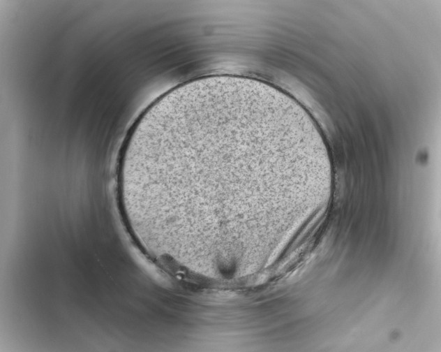 X0000103161042200809192048