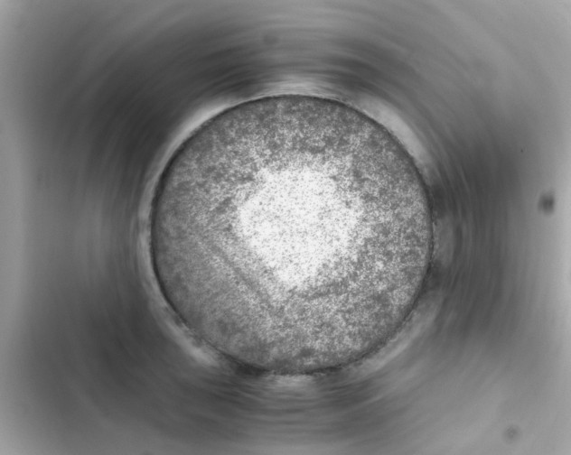 X0000103161043200809192049