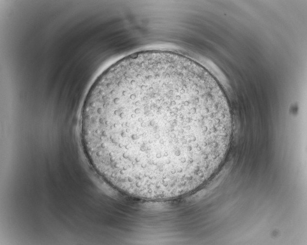 X0000103161044200809192049