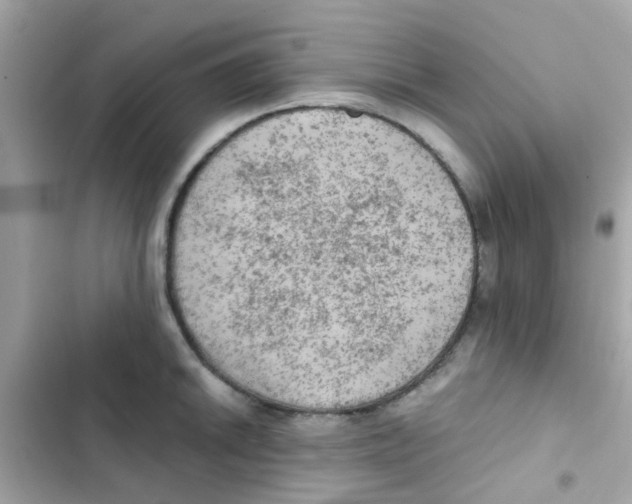X0000103161046200809192049
