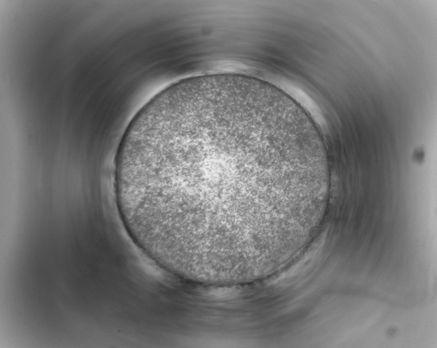 X0000103161047200809192049