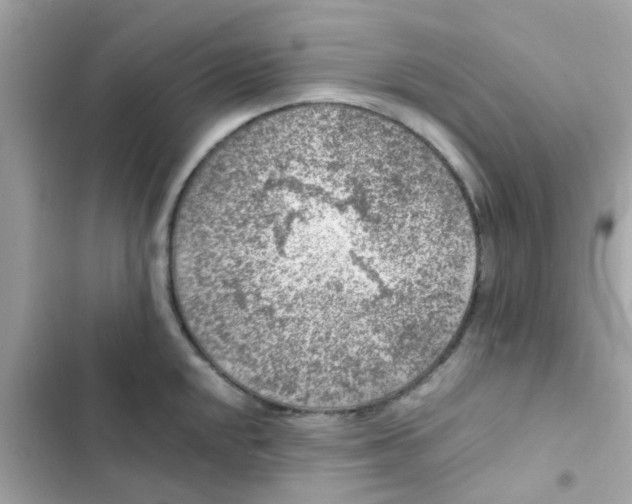 X0000103161048200809192049
