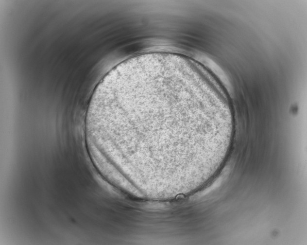 X0000103161049200809192049