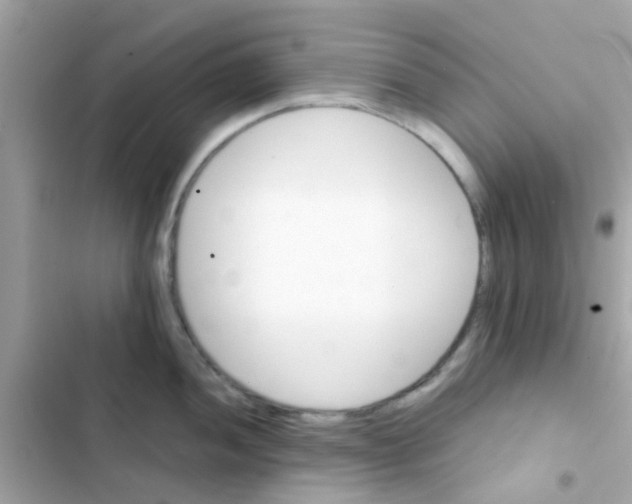 X0000103161052200809192049