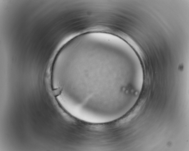 X0000103161053200809192049