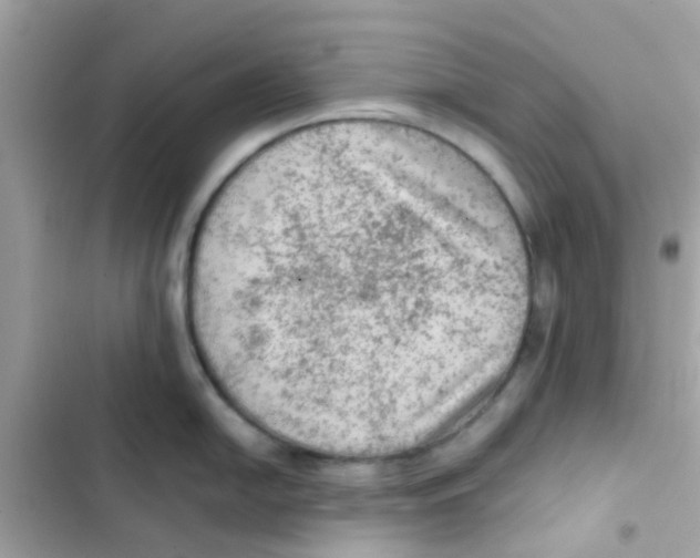 X0000103161054200809192049