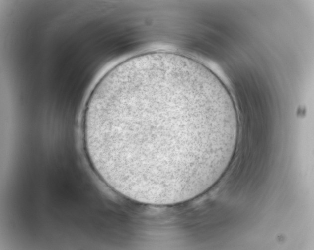 X0000103161056200809192049