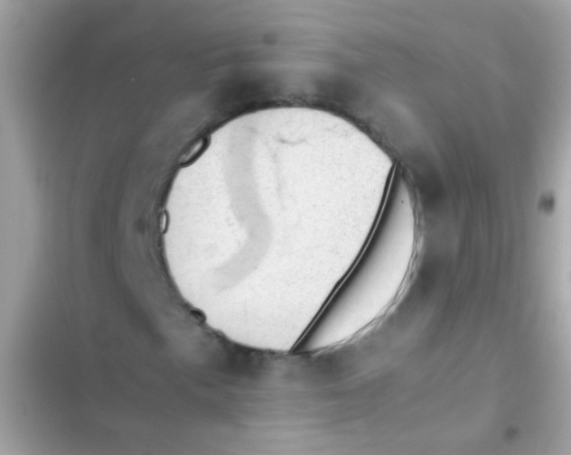 X0000103161057200809192048